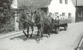 práce v obchodě s uhlím, kolem r. 1950